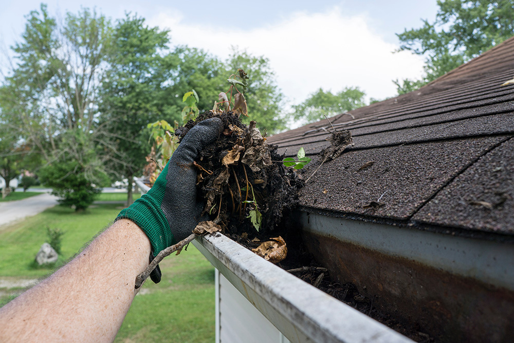 roof maintenance