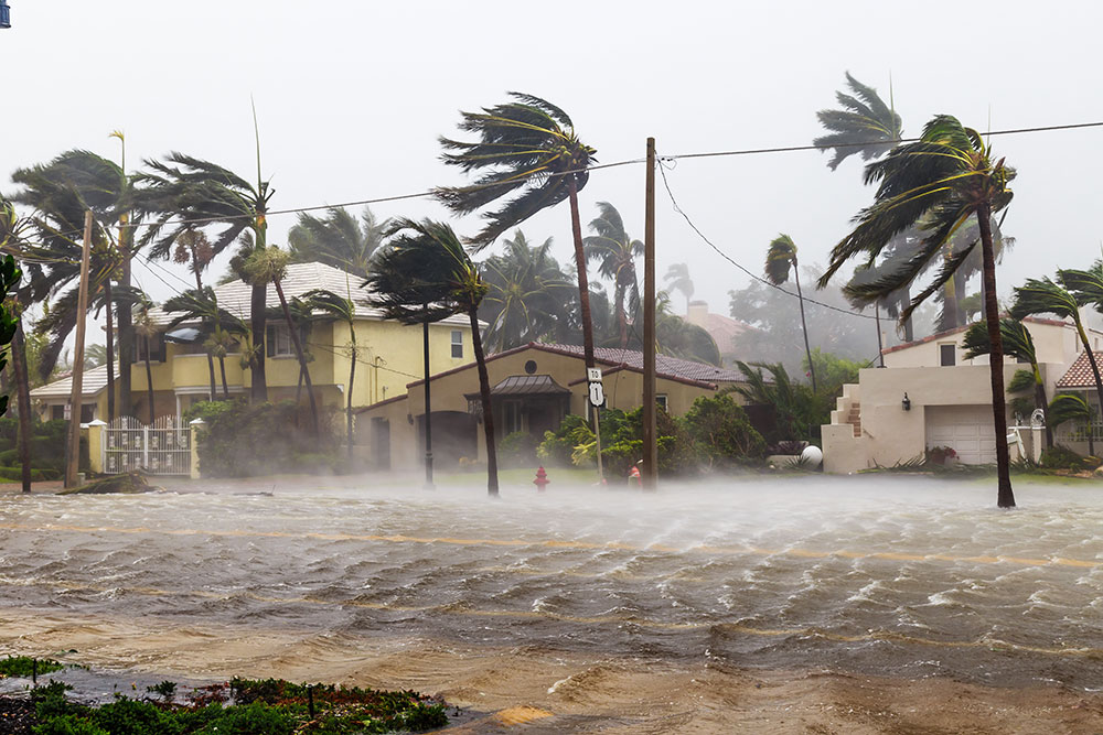 Hurricane winds