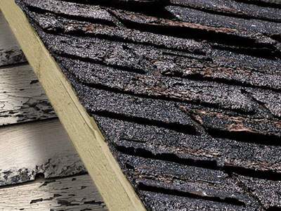 B. Ramirez Roofing Images